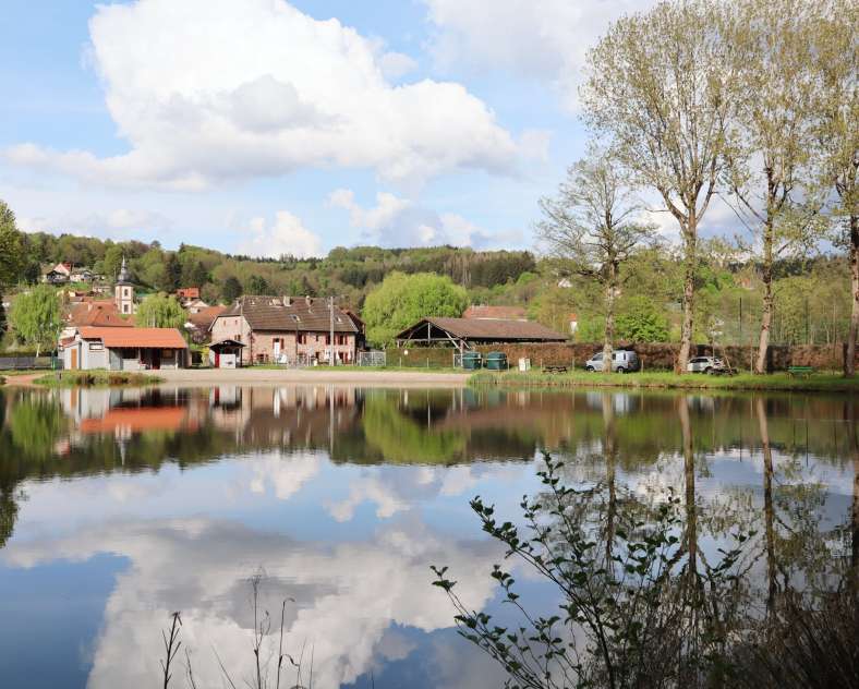 TSMS - A. Muller Pond of the Forge