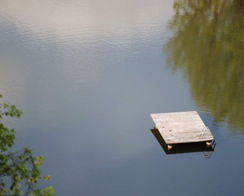 TSMS - A. Muller Pond of the Forge