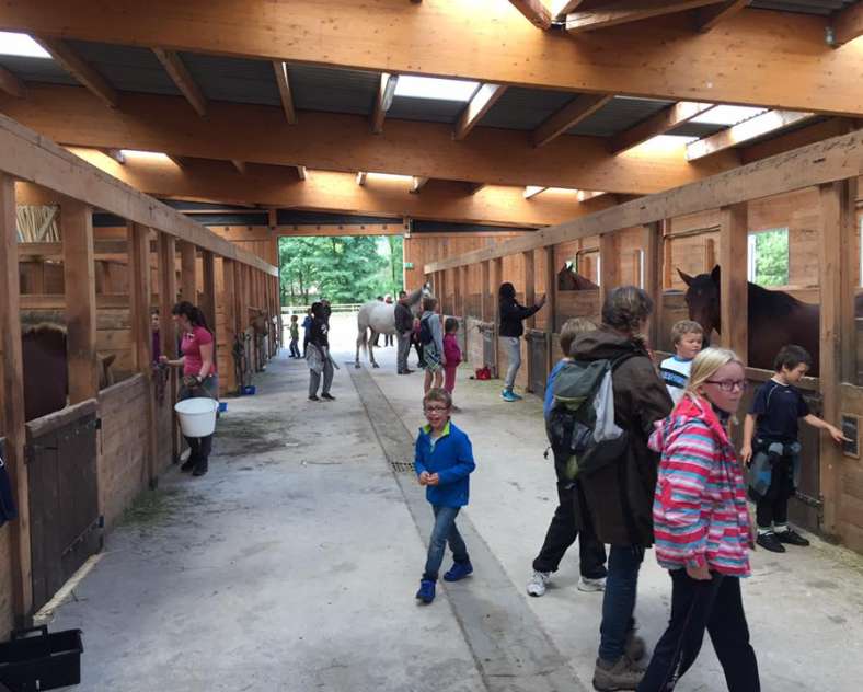 Les Balzanes Equestrian farm Balzanes