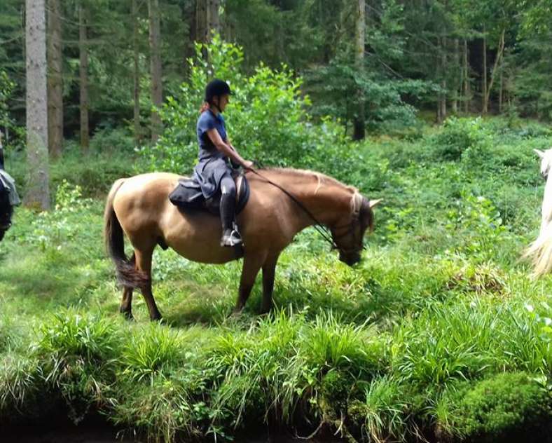 Les Balzanes Equestrian farm Balzanes