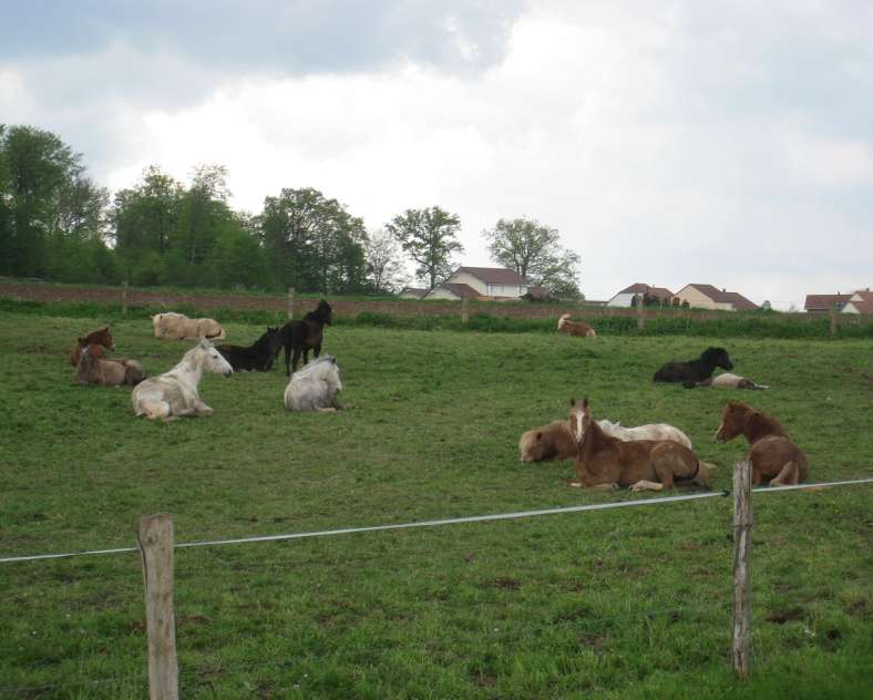 Ecurie-de-la-Cantera  Cantera stable