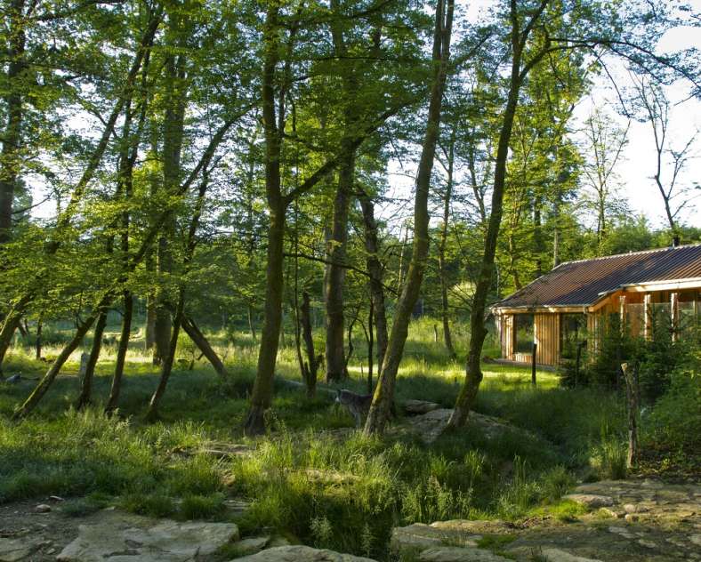 UNUSUAL ACCOMMODATION - JACK LONDON LODGE