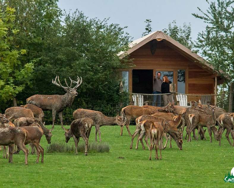 UNUSUAL ACCOMMODATION - LODGE DES GRANDS CERFS