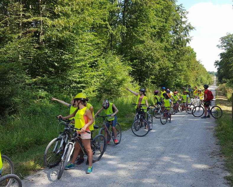 Nous disposons d'un garage à vélo. La location se fait toute l'année.Depuis l'été 2016 nous avons investi dans six vélo électriques.  Mittersheim Pond