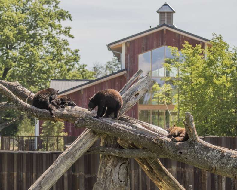 UNUSUAL ACCOMMODATION - THE COYOTE BARN