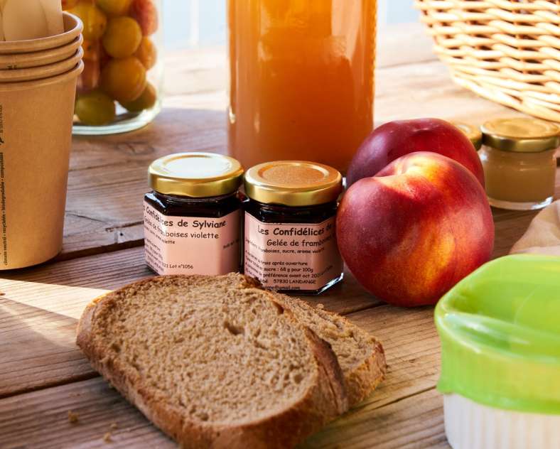 LES GITES DE ROBIN'SON Holiday cottages Robin'son