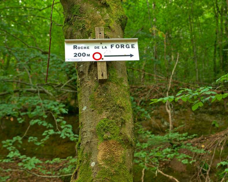 Emmanuel Stourm 2020
Licence Open Data Forge rock