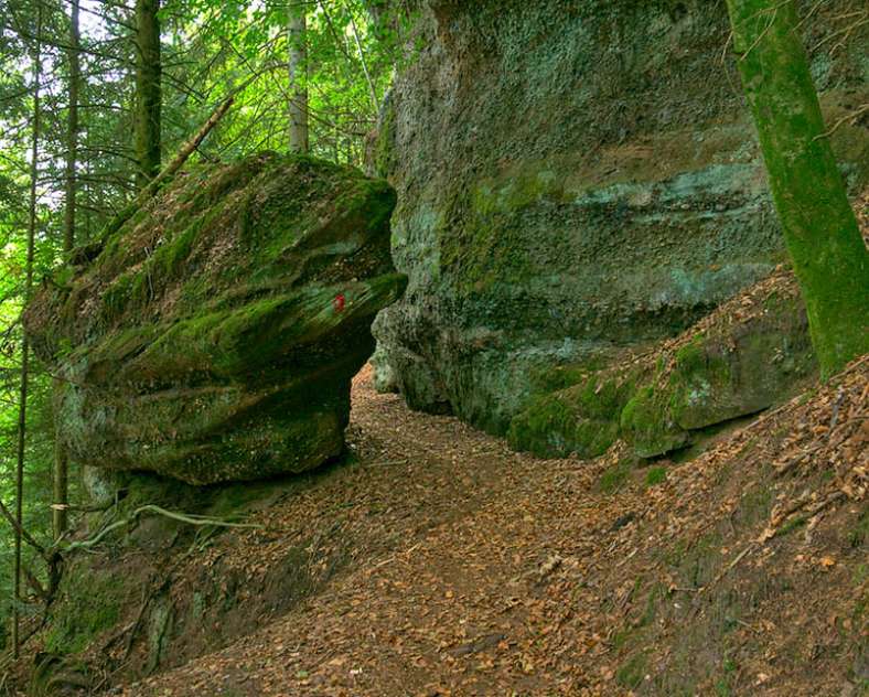 Emmanuel Stourm 2020
Licence Open Data Forge rock