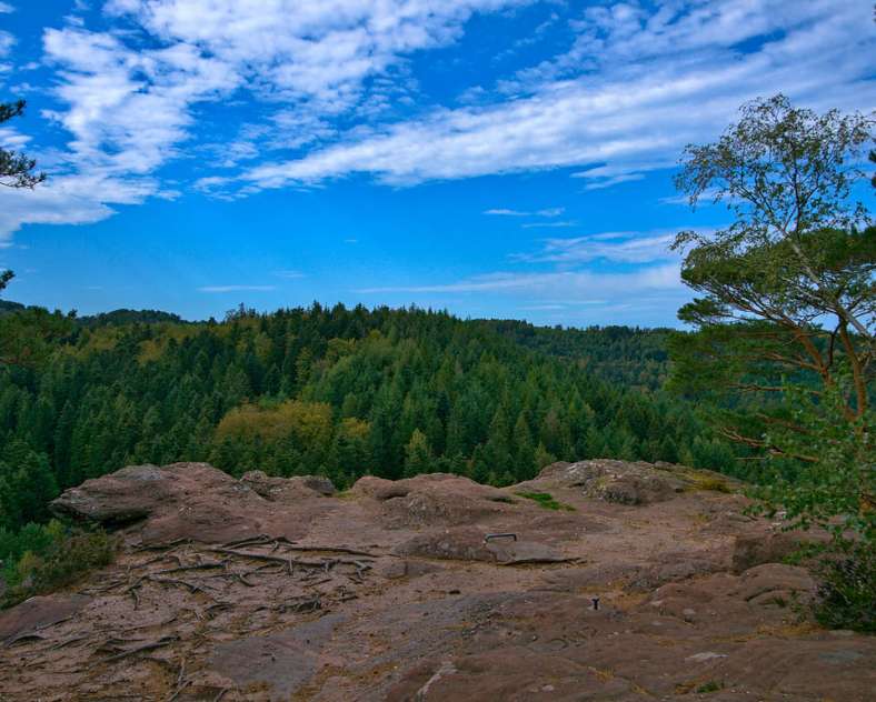 Emmanuel Stourm 2020
Licence Open Data Hohwalsch rock - climbing area