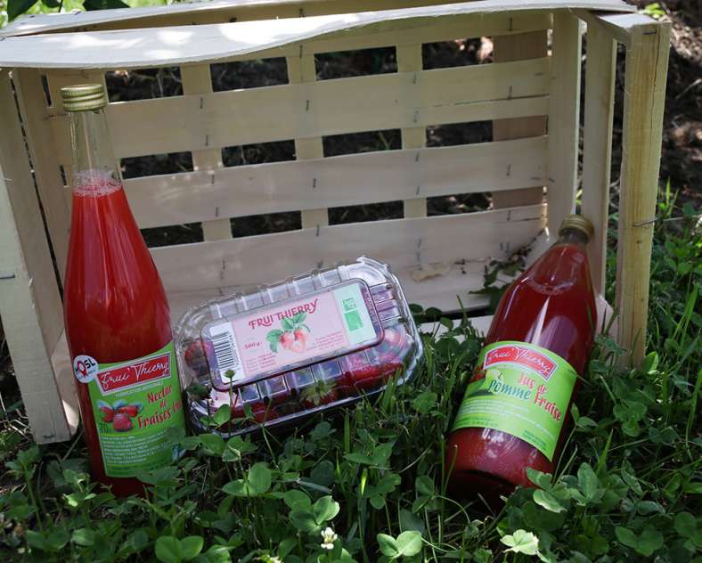 Lid Sirkis Frui’thierry