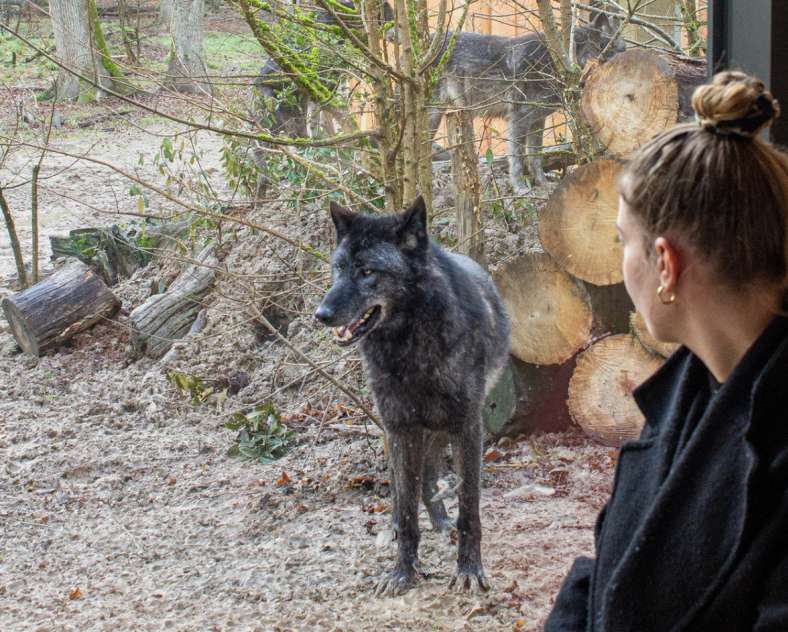 Margaux C Unusual accommodation - Yukon lodges