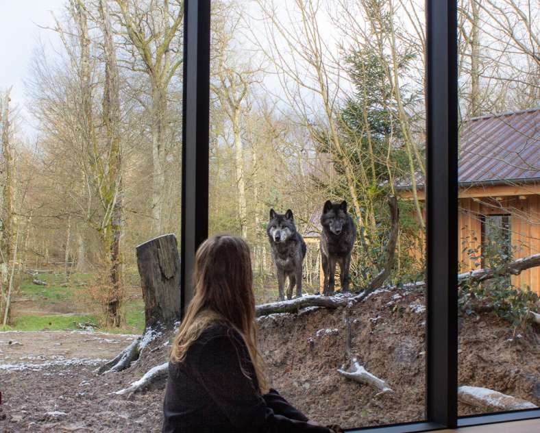 Margaux C Unusual accommodation - Yukon lodges