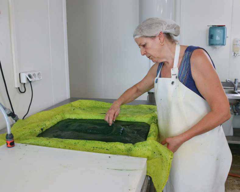 Lid Sirkis Ferme aquacole les spires d'Aline