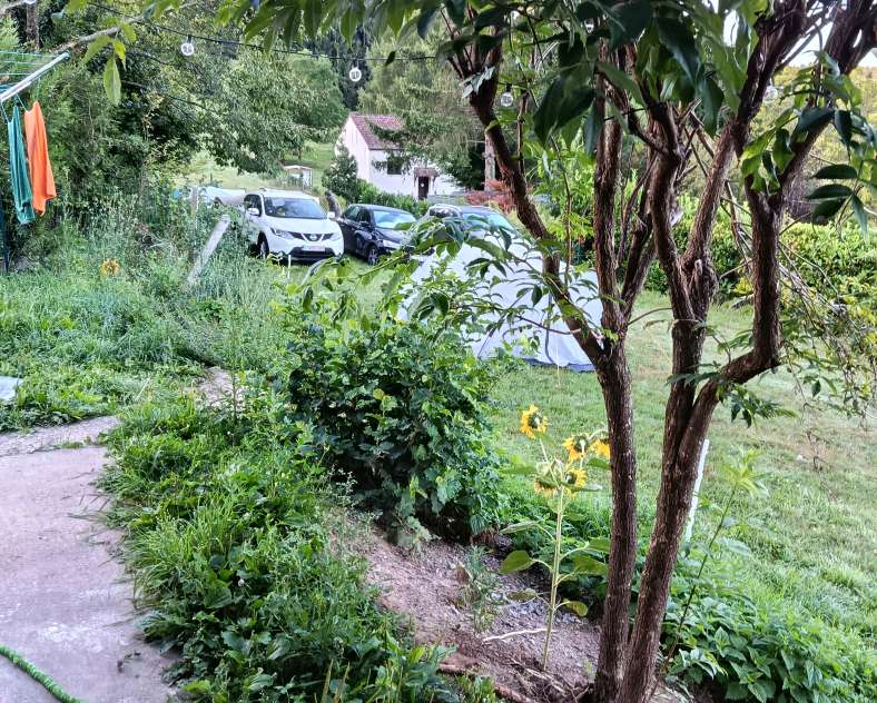 Monique Lempereur Camping chez l'habitant - pause à Vasperviller