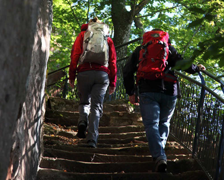 © T. Bichler BOW  The ruins of Ramstein castle