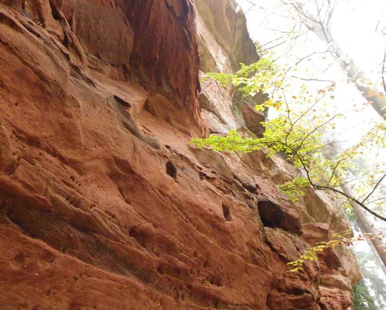 Céline Chall - OTIPB Grand Arnsbourg Castle