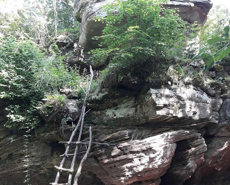 Emmanuel Stourm 2020
Licence Open Data  Rothenburg castle