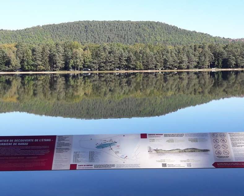 THE PEAT BOG AT HANAU LAKE