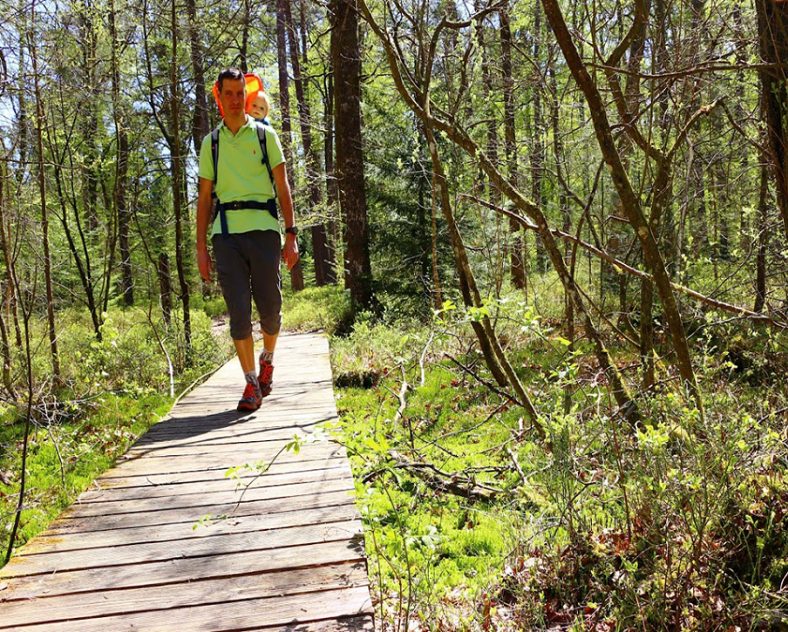 © Globetrekkeuse  The peat bog at Hanau lake