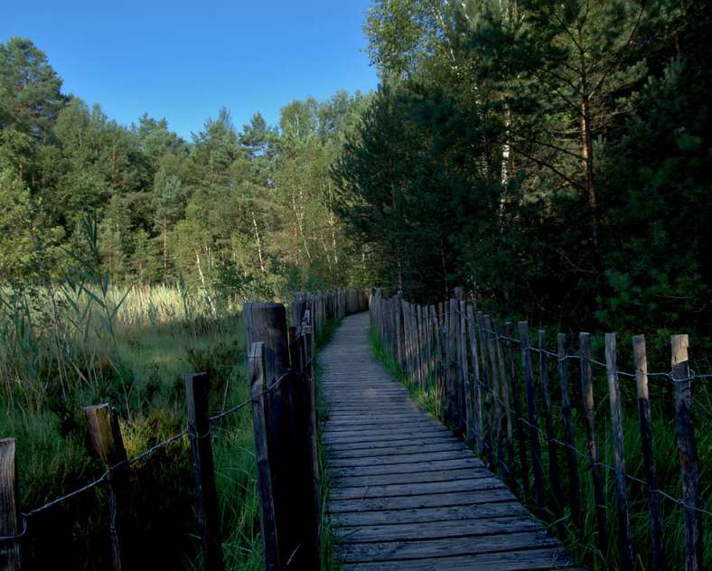 THE PEAT BOG AT HANAU LAKE