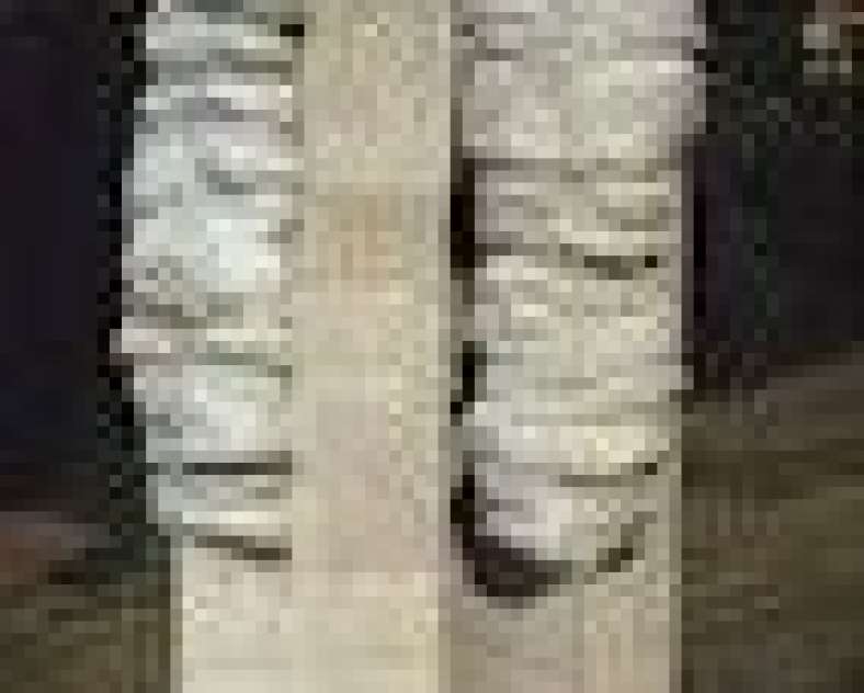 Ville de Bitche  Sculptures and contemporary art in Bitche