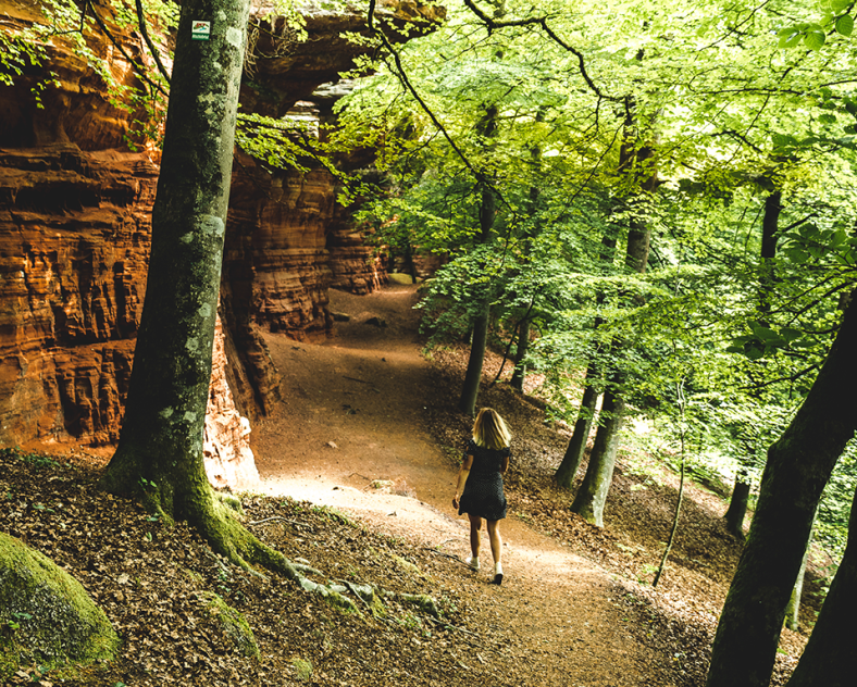 © World Else Altschlossfelsen Rock