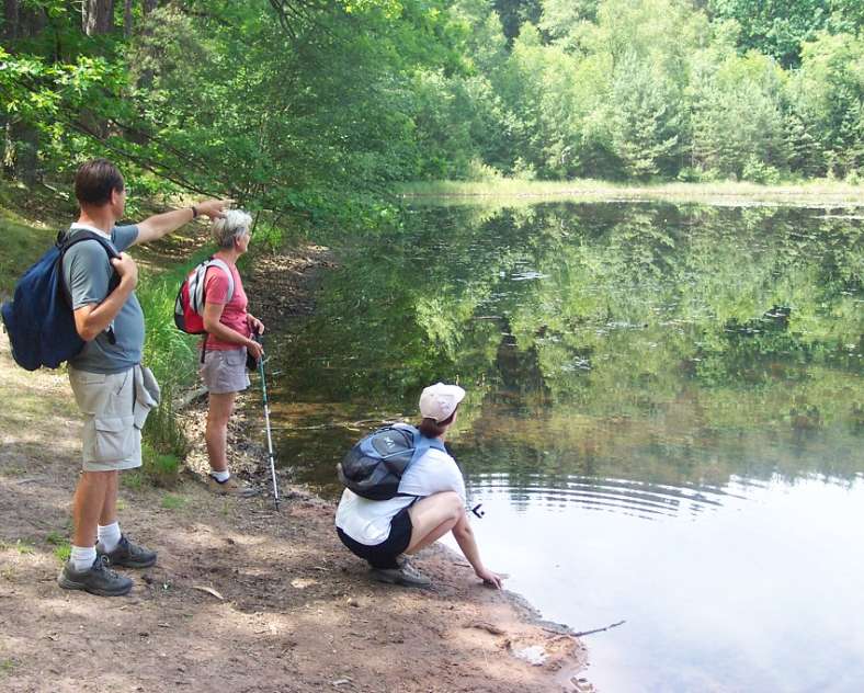 Emmanuel Stourm 2020
Licence Open Data Lieschbach pond nature reserve