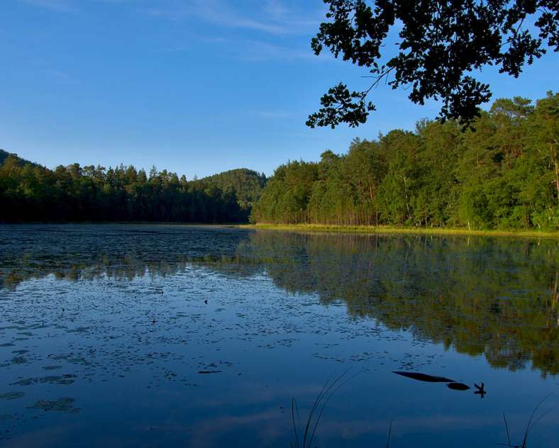 OTIPB Lieschbach pond nature reserve