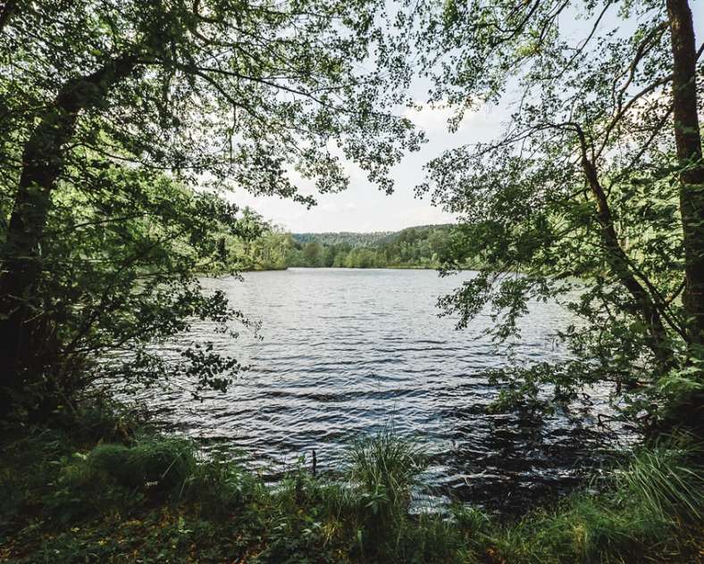 World else Étang de l'Erbsenthal - Réserve naturelle