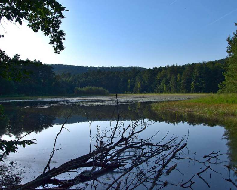 OTIPB Étang de waldeck - réserve naturelle