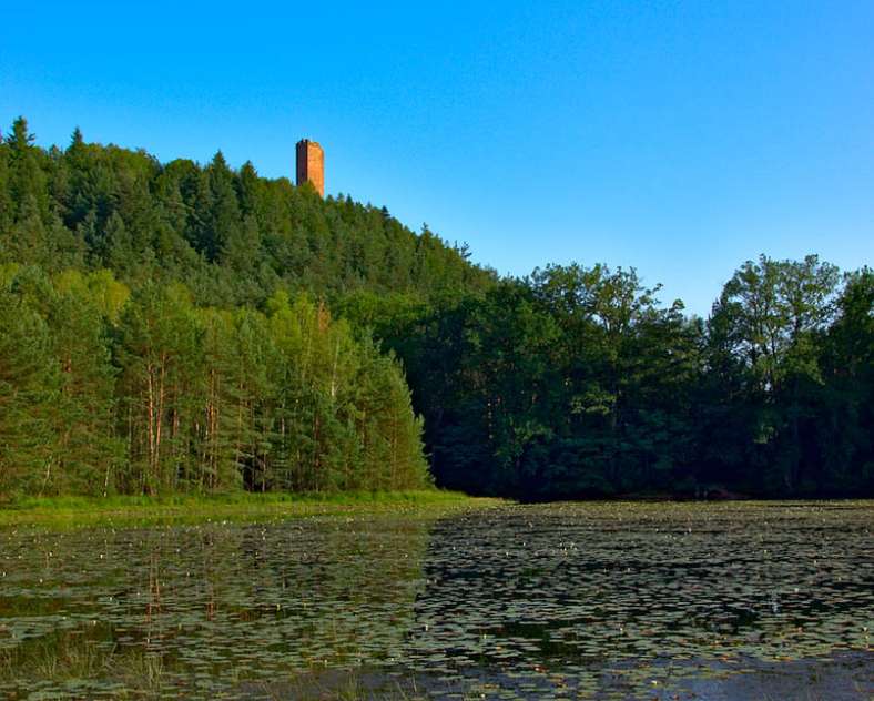 Emmanuel Stourm 2020
Licence Open Data Étang de waldeck - réserve naturelle