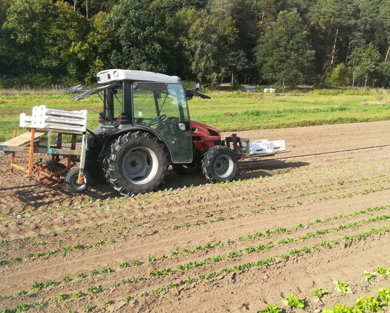 Vegetal respekt  Vegetal respekt