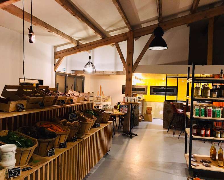 Vegetal respekt  Vegetal respekt