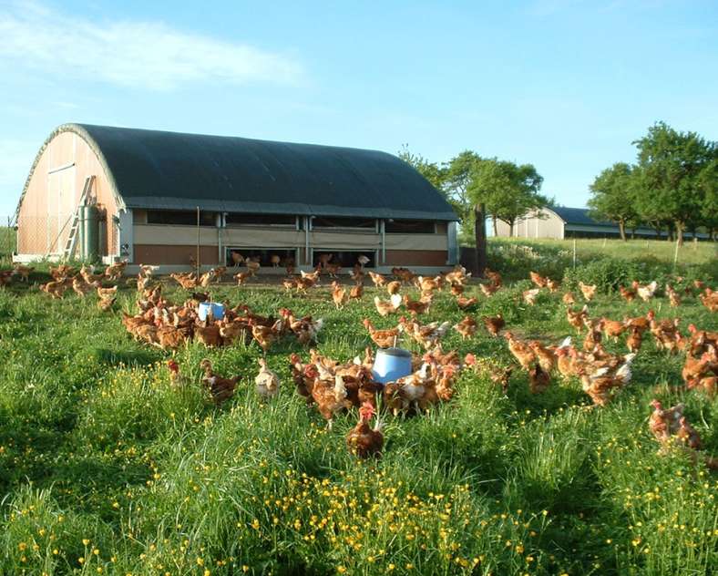 Richard Fouchs Kleinwald Farm