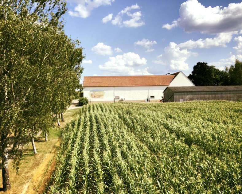 Richard Fouchs Kleinwald Farm