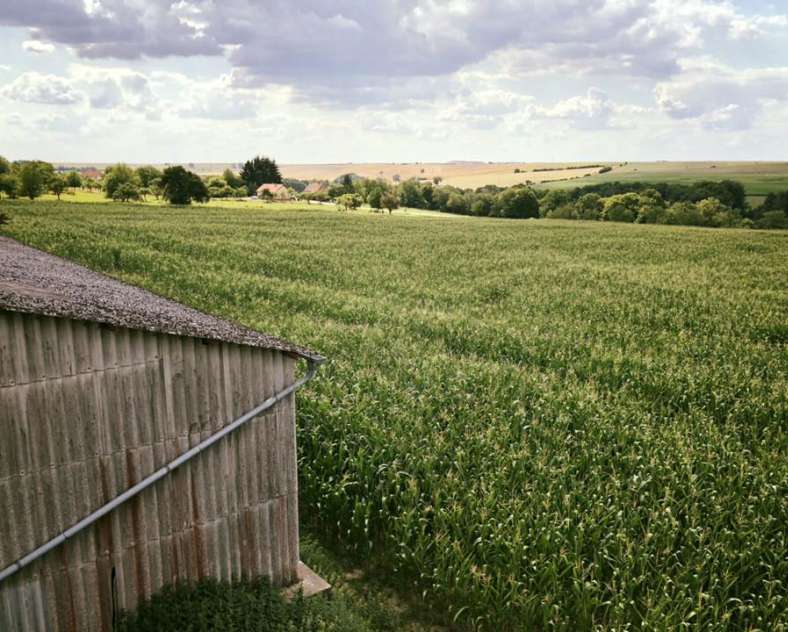 Richard Fouchs Kleinwald Farm