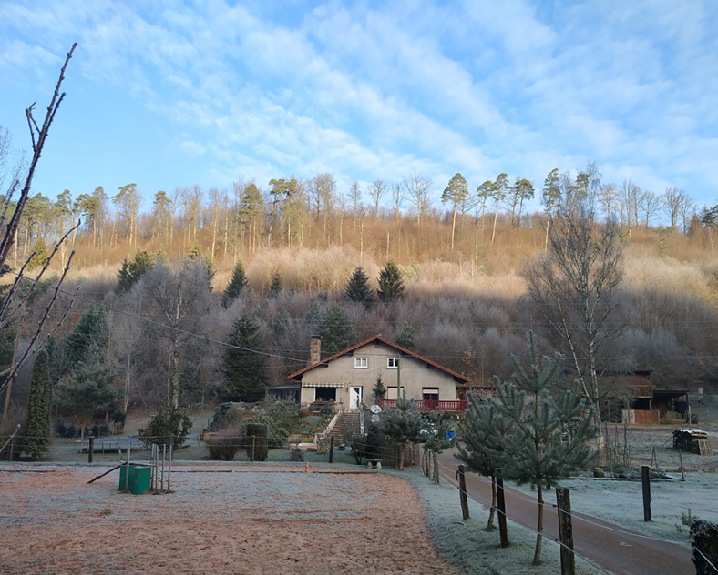 Tania Seiler Domaine l'échappée verte