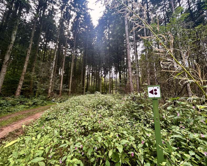 C. Romang-OTIPB  Circuit VTT 18 km