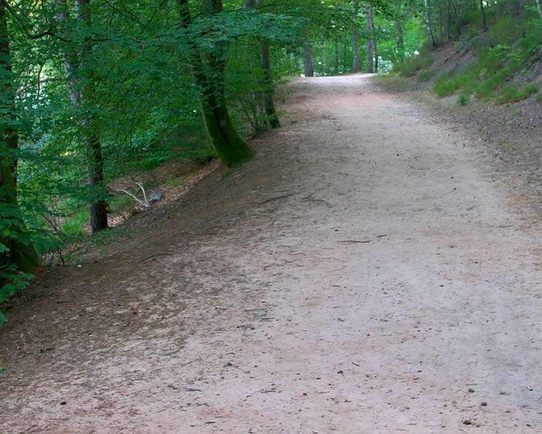 Emmanuel Stourm 2020
Licence Open Data Sentier d'excellence 2 - autour de l'étang de Hasselfurth