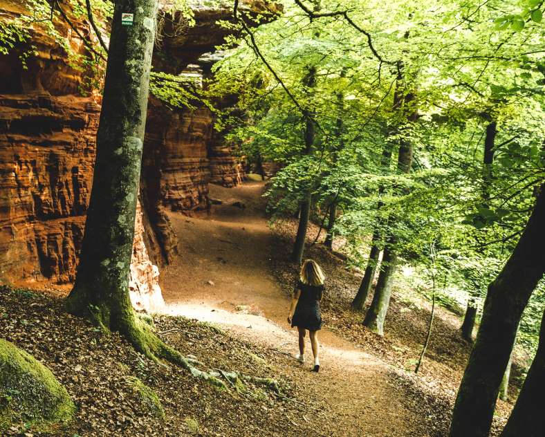 World Else  Sentier d'excellence 6 - circuit du rocher de l'Altschlossfelsen