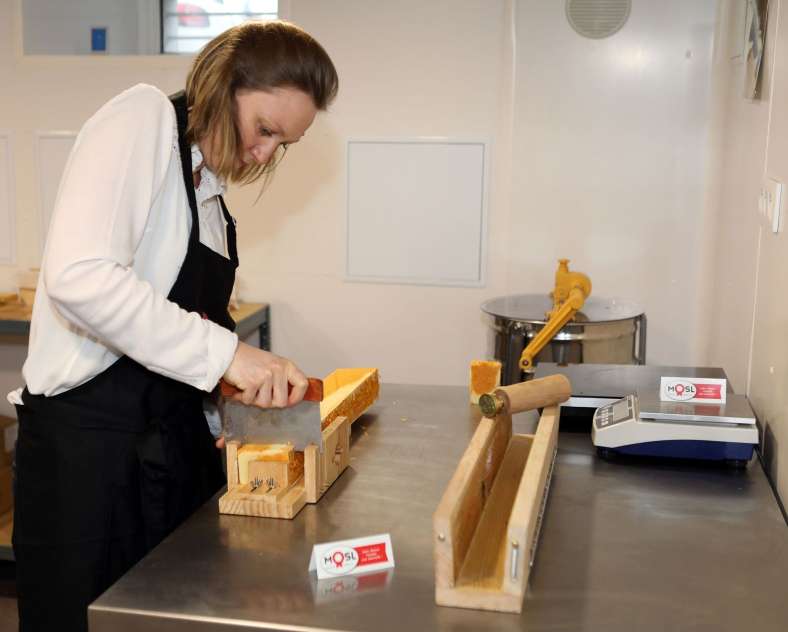 Ombres et lumières De la fleur au pot