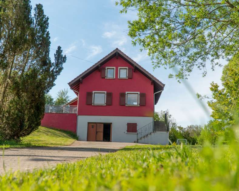 Laetitia Mazacz Meublé - au pif