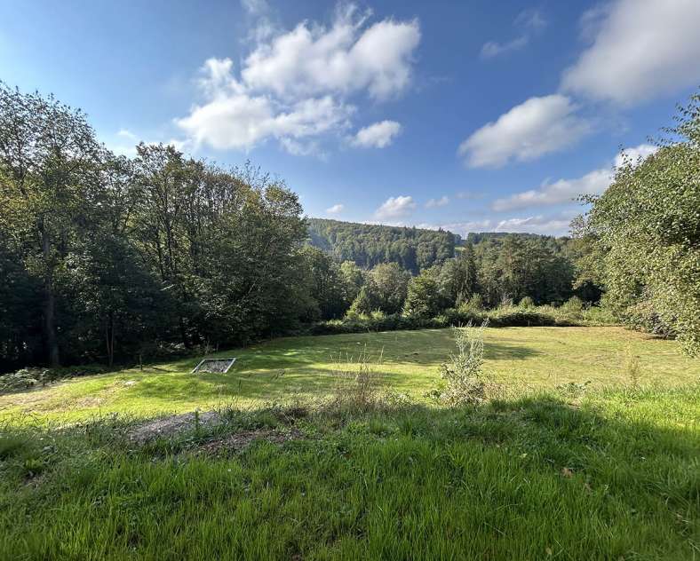 Gîte sapin Zen  Meublé - sapin zen