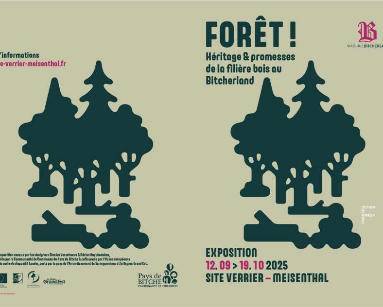 rdngr.com Exposition - Forêt !