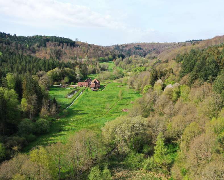 Flore Pierrot Paulusmühle guest house