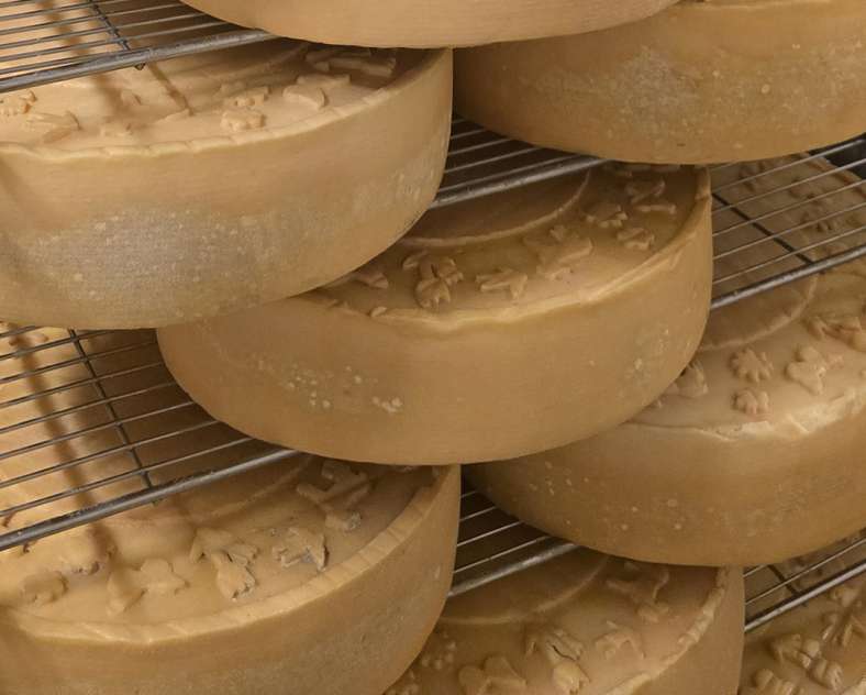 Fromagerie de l'Abbaye de Vergaville Fromagerie de l'Abbaye de Vergaville