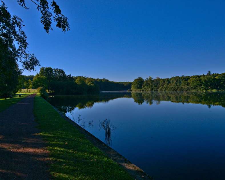 Ville de Dieuze Sentier de l'étang des Essarts