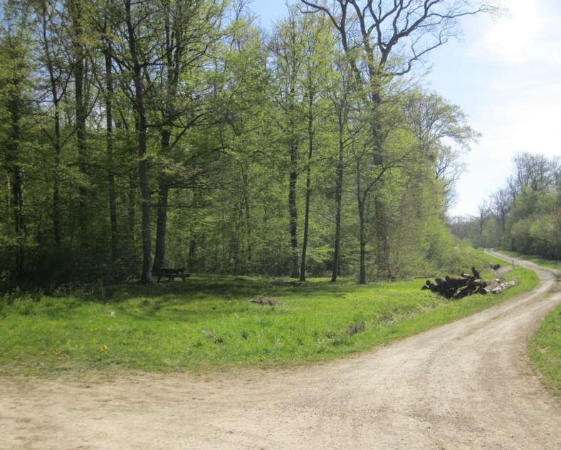 ccs  Sentier forestier de Mulcey