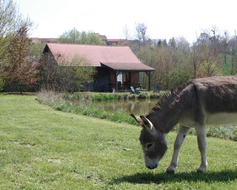 SARL PATE Chalet mélèze