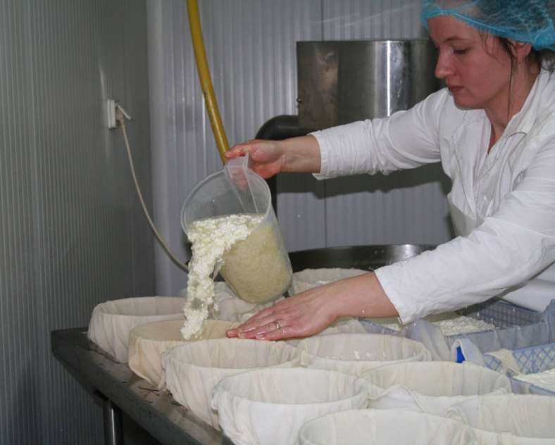 GAEC_Caps De la ferme aux fromages